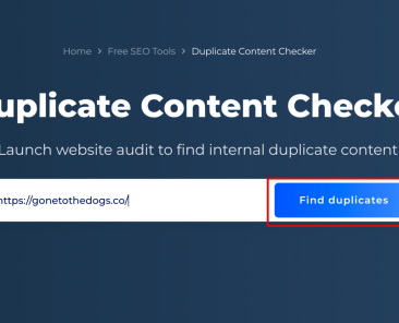 duplicate-content-checker